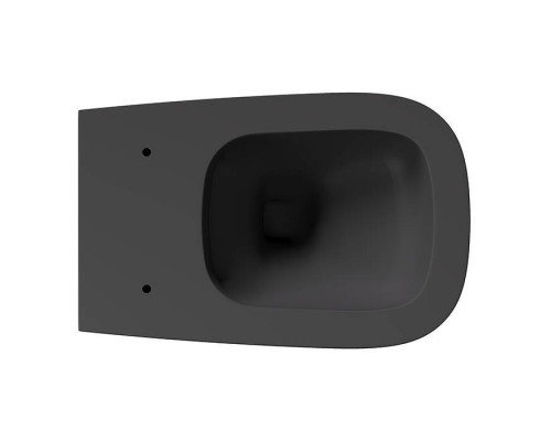 Alice Wunder Унитаз 53х31см., подвесной, безободковый, смыв aliflush+, с сиденьем и крышкой с микролифтом, с креплением Fischer WB-KliX, цвет: чёрный матовый. 45000108SET