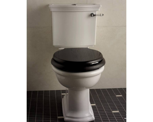 DevonDevon New Etoile Унитаз моноблок 38x64.5см, фурнитура хром. IBWCNET,  IBCZNET,  IBLEVADX/CR,  IBBATT-CM/NEWETOILE