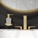 Hansgrohe AddStoris Диспенсер для жидкого мыла, цвет: полированное золото. 41745990