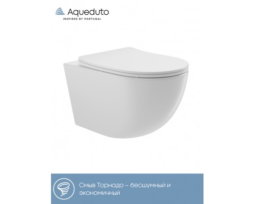 Унитаз подвесной Aqueduto Ovo Tornado OVOT2110 безободковый, с микролифтом, глянцевый белый