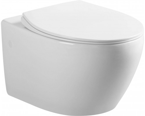 Унитаз подвесной Art Max Elegant AM9316CHR/SC безободковый, с микролифтом, белый Унитаз подвесной Art Max Elegant AM9316CHR/SC безободковый, с микролифтом, белый