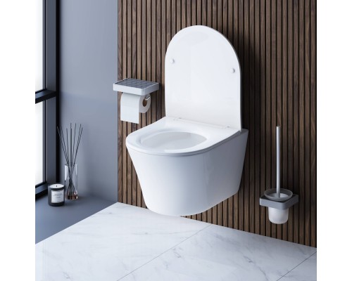DX35C1700SC Унитаз подвесной безободковый с сиденьем микролифт