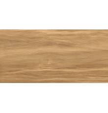 Плитка настенная AltaCera Portland Dark матовая 24,9х50