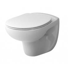 Унитаз подвесной Damixa Willow DX15C1700SC безободковый, с микролифтом