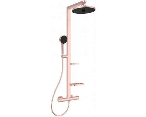 IS BD583RO ALU+ Душевая система для душа, с терм., Ø260/100 мм, 2/2 режима, полки 130 и 208 мм BD583RO