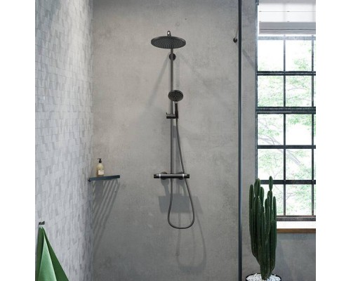 Hansgrohe AddStoris Крючок, цвет: черный матовый. 41742670 Hansgrohe AddStoris Крючок, цвет: черный матовый. 41742670