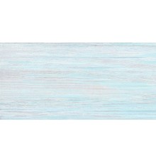 Плитка настенная Alma Ceramica North TWU09NRT606 глянцевая 24,9x50 голубая