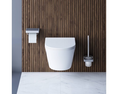 DX35C1700SC Унитаз подвесной безободковый с сиденьем микролифт