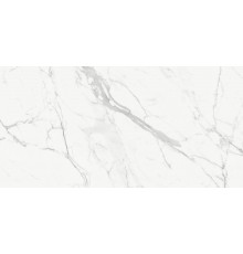 Керамогранит Delacora Porfido Carrara 60х120