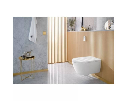 VilleroyBoch Viclean Унитаз-биде 38.5х59.5х36см., подвесной, в комплекте с сиденьем, покрытие CeramicPlus, цвет: альпийский белый. V0E100R1