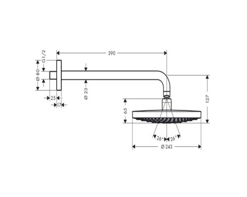 Hansgrohe Raindance Select S 240 Верхний душ, цвет: хром. 26466400 Hansgrohe Raindance Select S 240 Верхний душ, цвет: хром. 26466400