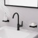 Hansgrohe Logis Смеситель для раковины, 1 отв., с донным клапаном, цвет: черный матовый. 71130670