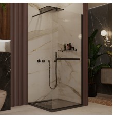 Душевая перегородка Ambassador Walk-in 15031234 110x200 см, профиль черный