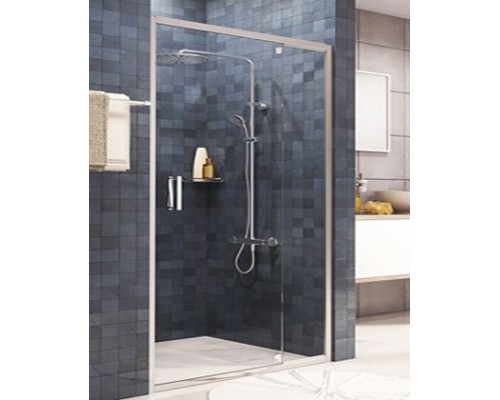 Душевая дверь в нишу Wasserkraft Berkel 48P05 120 см