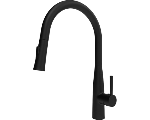 Смеситель для кухни Raiber Graceful RPB-011 черный
