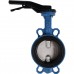 Затвор поворотно-дисковый Tecofi VPI4449 DN 100 PN 16 EP из чугуна д/нерж (VPI4449-02EP0100)