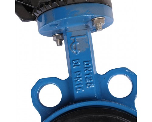 Затвор поворотно-дисковый Tecofi VPI4449 DN 125 PN 16 EP из чугуна (VPI4449-02EP0125) Затвор поворотно-дисковый Tecofi VPI4449 DN 125 PN 16 EP из чугуна (VPI4449-02EP0125)