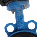 Затвор поворотно-дисковый Tecofi VPI4449 DN 125 PN 16 EP из чугуна (VPI4449-02EP0125)