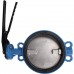 Затвор поворотно-дисковый Tecofi VPI4449 DN 250 PN 16 EP из чугуна (VPI4449-02EP0250)