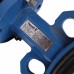 Затвор поворотно-дисковый Tecofi VPI4449 DN 250 PN 16 EP из чугуна (VPI4449-02EP0250)