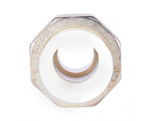 Муфта комбинированная Pro Aqua d=25-3/4 PP-R разъемная (американка) УСИЛЕННАЯ НР Белая (PA21014S) Муфта комбинированная Pro Aqua d=25-3/4 PP-R разъемная (американка) УСИЛЕННАЯ НР Белая (PA21014S)