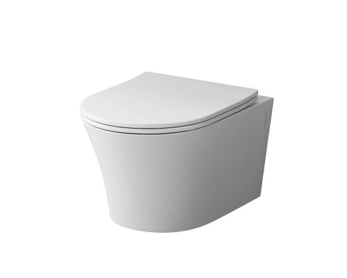 DX35C1700SC Унитаз подвесной безободковый с сиденьем микролифт