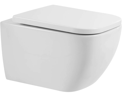 Унитаз подвесной BelBagno Alpina BB10100CHR/SC безободковый, с микролифтом