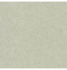 Обои Caselio Beton 2 101487270