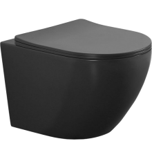 Унитаз подвесной Aquanet Cetus 279091 безободковый, с микролифтом