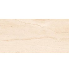 Керамогранит ABSOLUT GRES Diana Silver 60x120 полированный