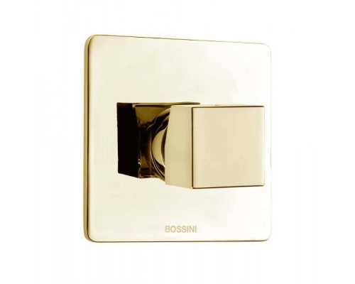 Bossini Cube Смеситель для душа на 1 выход , цвет: Золото . Z00007, Z00064.021 Bossini Cube Смеситель для душа на 1 выход , цвет: Золото . Z00007, Z00064.021
