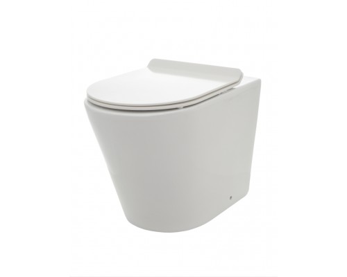 AQM3001 Унитаз напольный приставной Rimless + сиденье SoftClose, 580x370x430 AQM3001