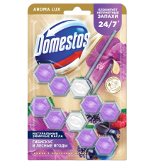 Туалетный блок для унитаза Domestos Power 5 сказочный аромат гибискус и лесные ягоды дуо 2х50 г