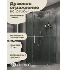 Душевая перегородка Niagara Eco NG-1010-14D (100x100x190 см)