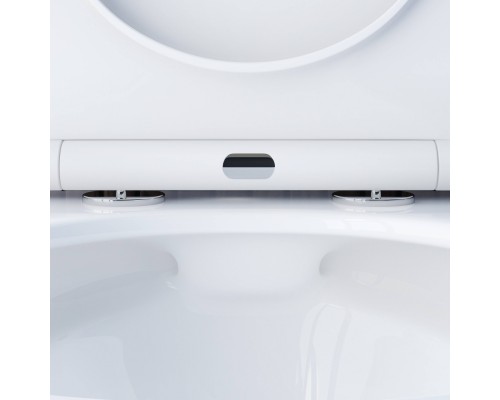 DX35C1700SC Унитаз подвесной безободковый с сиденьем микролифт