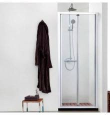 Душевая дверь в нишу Aquanet Alfa 210022