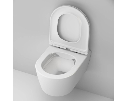 C8F1700MWSC Унитаз подвесной FlashClean с сиденьем микролифт, матовый C8F1700MWSC Унитаз подвесной FlashClean с сиденьем микролифт, матовый