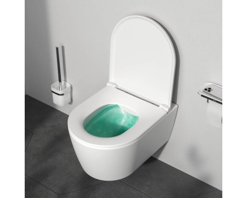 C8F1700MWSC Унитаз подвесной FlashClean с сиденьем микролифт, матовый C8F1700MWSC Унитаз подвесной FlashClean с сиденьем микролифт, матовый
