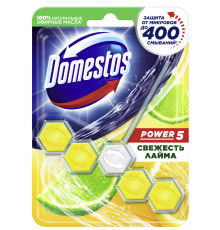 Туалетный блок для унитаза Domestos Power 5 свежесть лайма 55 г