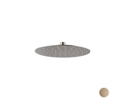 Newform X-STEEL 316 Верхний душ, 25см., без кронштейна, G1/2 , цвет: PVD Brushed pale gold. 29392X.59.098 Newform X-STEEL 316 Верхний душ, 25см., без кронштейна, G1/2 , цвет: PVD Brushed pale gold. 29392X.59.098