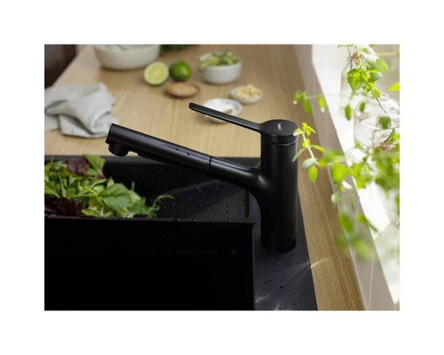 Hansgrohe Zesis M33 Смеситель для кухни, 1 отв., с вытяжным душем, цвет: черный матовый. 74800670 Hansgrohe Zesis M33 Смеситель для кухни, 1 отв., с вытяжным душем, цвет: черный матовый. 74800670