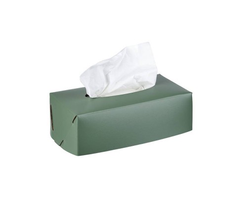 ADJ Салфетница Kleenex, 23x12xH7,5 см., цвет: эвкалипт/небесный. 0016.60/50 ADJ Салфетница Kleenex, 23x12xH7,5 см., цвет: эвкалипт/небесный. 0016.60/50
