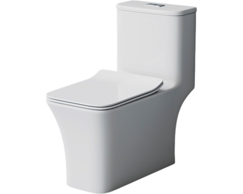 Унитаз-моноблок напольный EvaGold SM9615 EG050003