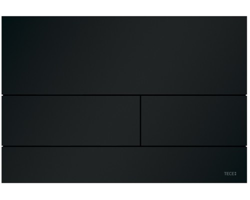 TECEsquare II 9240833 Панель смыва, 2 объёма, 220х150х3 мм, металл, черная матовая 9240833