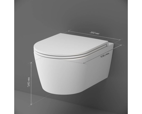 C8F1700MWSC Унитаз подвесной FlashClean с сиденьем микролифт, матовый C8F1700MWSC Унитаз подвесной FlashClean с сиденьем микролифт, матовый