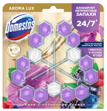 Туалетный блок для унитаза Domestos Power 5 сказочный аромат гибискус и лесные ягоды трио 3х50 г