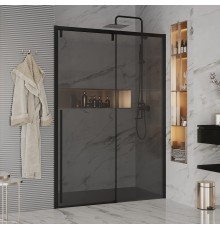 Душевая дверь в нишу Ambassador Intense 110022205IBB 160 см, профиль черный