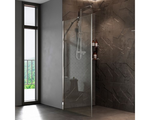 Душевая перегородка Wasserkraft Aller 10H10-RP100 100 см