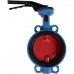 Затвор поворотно-дисковый Tecofi VPI4448 DN 150 PN 16 межфланцевый с ручкой из чугуна EPDM (VPI4448-02EP0150)