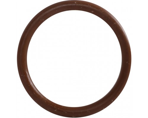 Уплотнительное кольцо ROMMER из FPM, 28 RSS-0028-000028 (RSS-0028-000028)